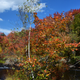 Illustration for article titled Fall Photos 1